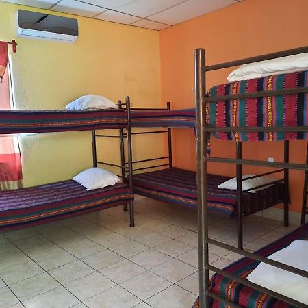 Green Monkey Hostel Flores Eksteriør billede